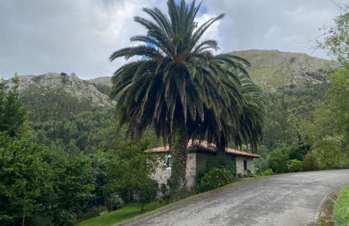 Apartamento en casco histórico de Lastres - Foto 22