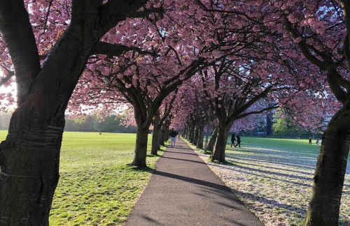 Modern 2 bedroom apartment in City Centre - Photo 29