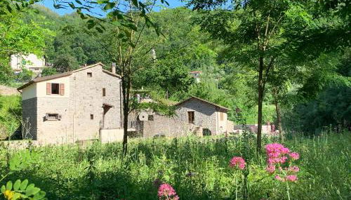 Magic Mill Castagnetoli - Foto 3, Garden