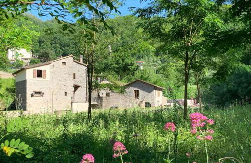 Magic Mill Castagnetoli - Foto 3