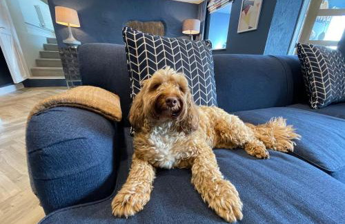 Goferydd, South Stack, Anglesey, 4 bed luxury home, hot tub, dog friendly - Foto 23