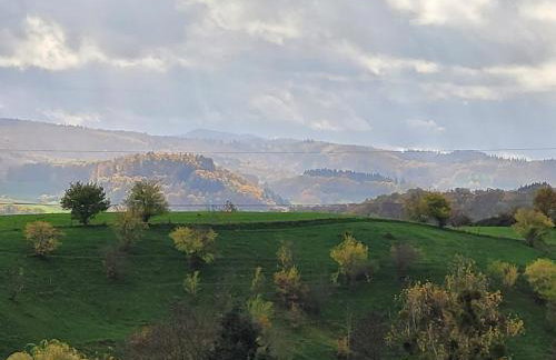 Ferienhaus auf dem Lusitanohof Jäger - Foto 8