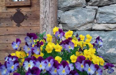 CleMaison Antica Dimora Apartments CIR VDA GIGNOD 0013 - Foto 38