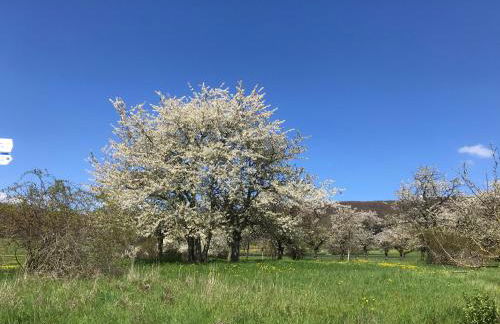 Rhön - Nestchen - Foto 21
