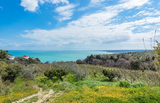La Conchiglia dei Sogni - Foto 6