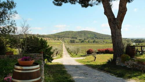 Agriturismo biologico Bulichella - Foto 3, Garden