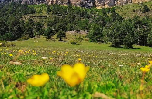 CASITA LUAN - Foto 33