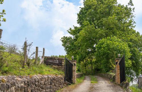 Rodiles de Matisón - Foto 37
