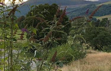 Annie’s Flat - Foto 40