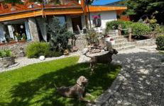 Apartamenty Sowianka - Foto 15