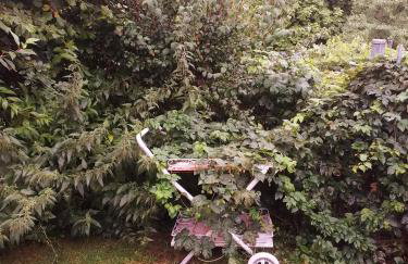 Ferienwohnung im Rottal - Foto 21