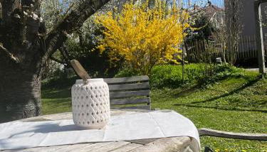 Ferienwohnung in Kitzingen - Foto 4, Garden