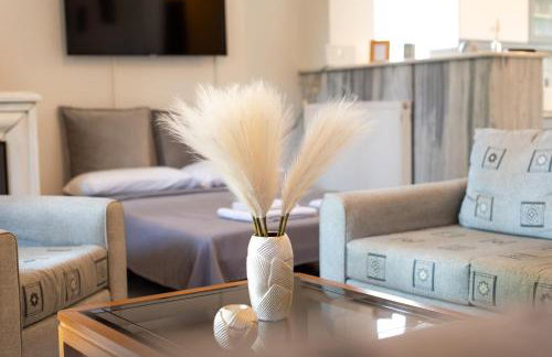 Pyramisa House Free Shuttle From And To Athens Airport By SEM - Foto 41