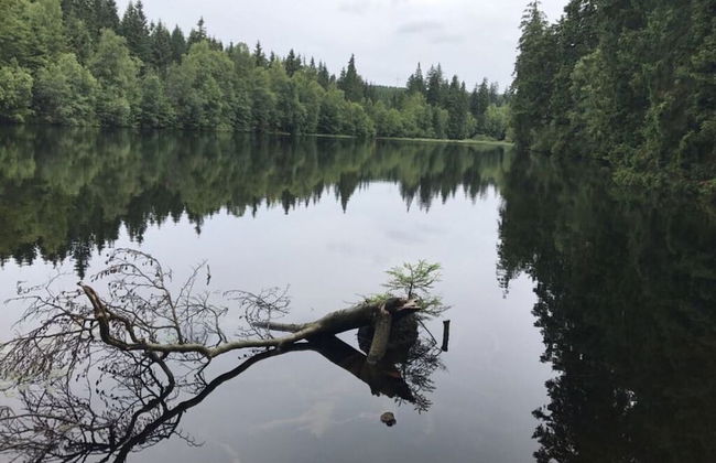 Holiday Apartment Summit Nest - Photo 26