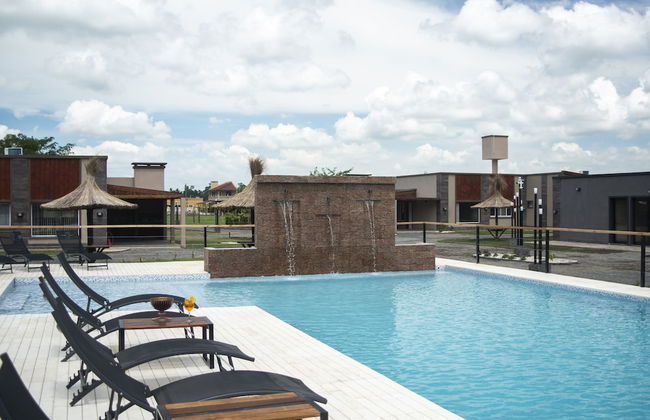 Olivos de Monte - Foto 37