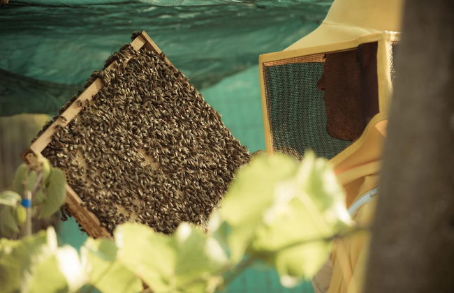 Casa Bassetto - Foto 21