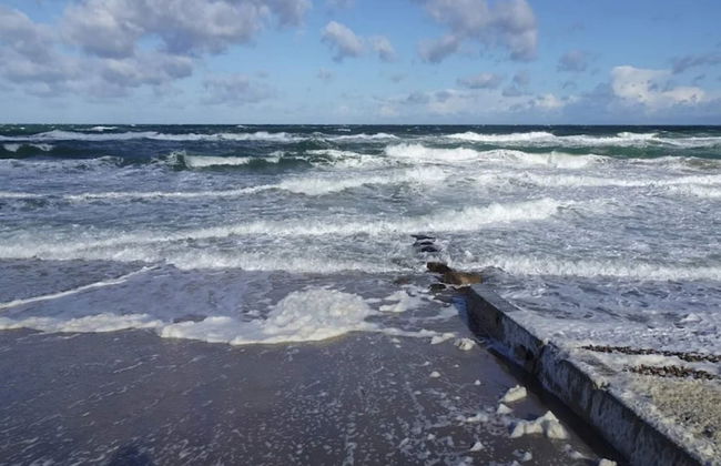 4 Person Holiday Home in Graested - Foto 40