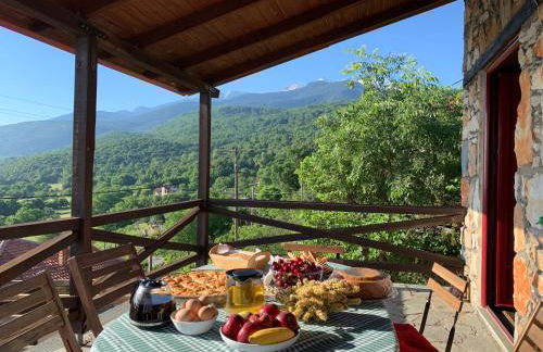 Stonehouse 2 Bedroom Chalet on Olympus Amazing View - Photo 19