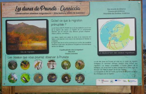 Résidence A NUCIOLA Les pieds dans l'eau Cervione Hte CORSE - Foto 9