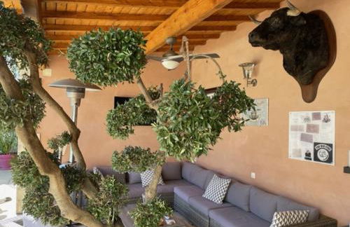 appartement avec piscine - Photo 10