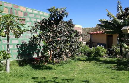 Villa Canaria piscina jacuzzi jardín - Foto 46