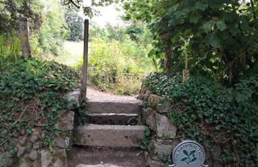 Modern cosy apartment walking distance to many cove beaches and coast path walks as well as the famous Helford river - Foto 26