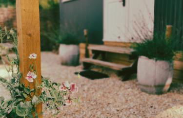 Lapwing Hut - Photo 14