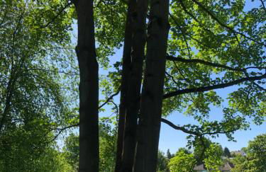 Apartment-47 Fulda - Photo 73