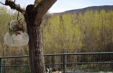 Alojamento Local Madre de Cima - Foto 39