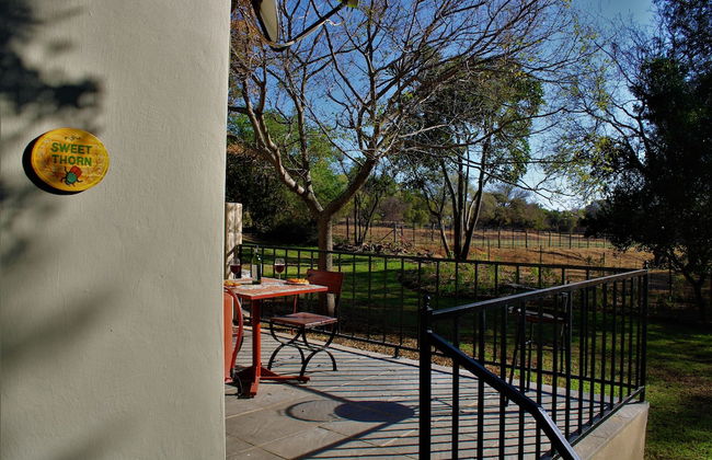 Sweet Thorn Tree Spacious Cottage for 2 People With Great Terrace! - Foto 7