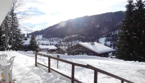 Rose de Noel 145 - Proche pistes de ski, au calme - Foto 3