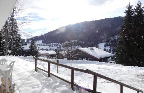 Rose de Noel 145 - Proche pistes de ski, au calme - Foto 3