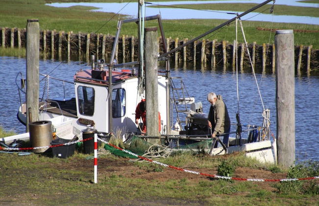 Ferienwohnung, Garding - Foto 13