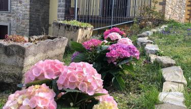 Villa Natale - Foto 4, Garden