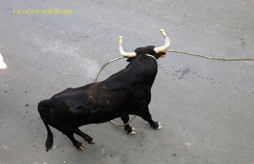 Casa do ti' Marrão - Photo 43