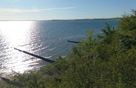 Ostsee-Feeling in Hohwacht - Kapitän NEMO - Meer- und strandnah - Großer Südbalkon - Blick ins Grüne - Foto 33
