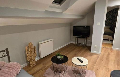 Beau duplex proche centre-ville - Photo 30