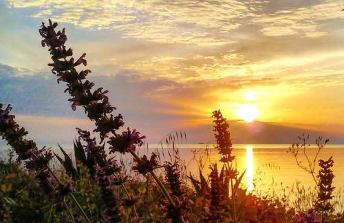 Enalion House - Photo 8