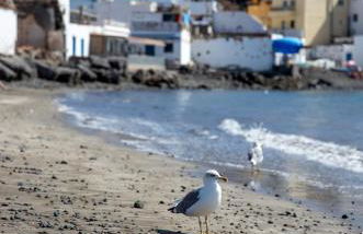 Palm Beach Fuerteventura - Photo 56