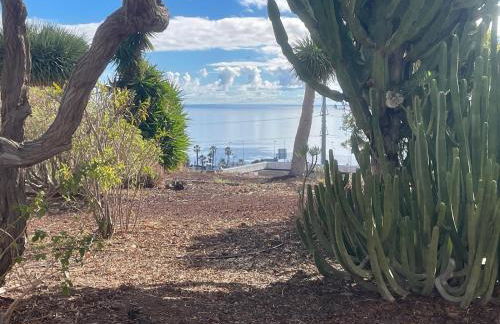 Paraiso de Anaga - Foto 16