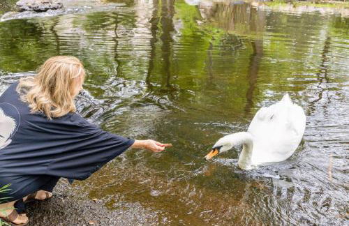 Midcentury Modern ZenHouse Sculptor Studio - Foto 53