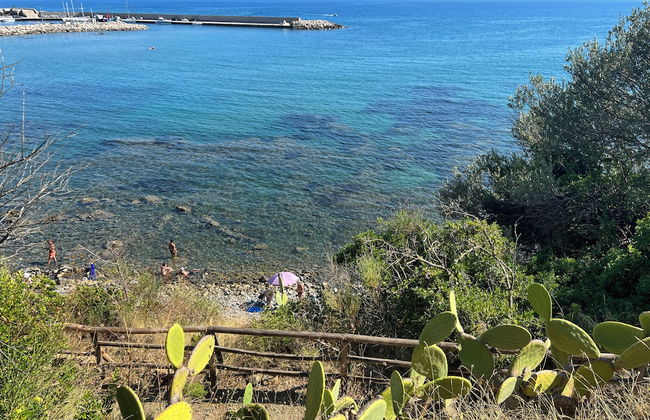 Dominella - Apartment With Pool in Cilento - Foto 21