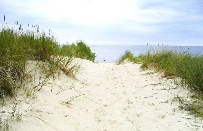 Reihenhaus Dunenwaldhaus Mitte in Trassenheide - Foto 54