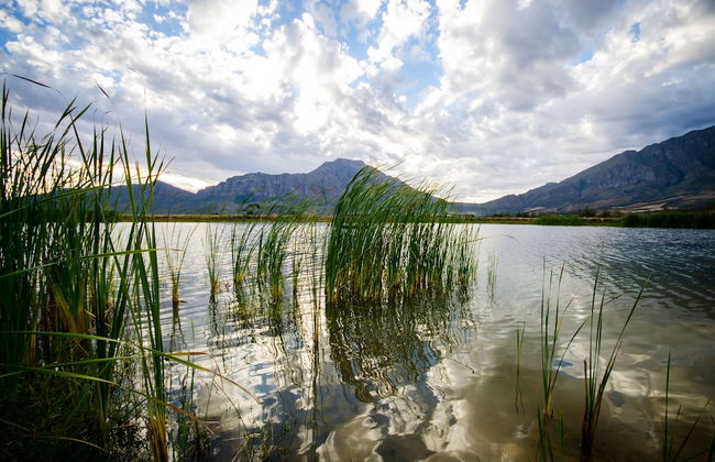 Reflections Guest Farm - Photo 72