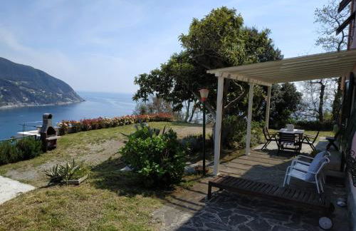 Villa Venino - Foto 13