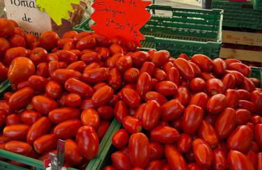 La Terre du Midi à Sérignan - Foto 33
