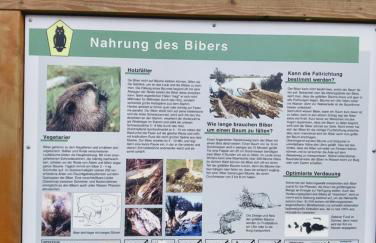 Privatzimmer Zur alten Salzstraße - Foto 43