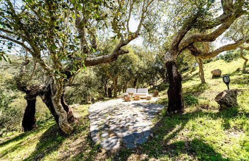 Salthouse Portugal - Exclusive Studio - Foto 14