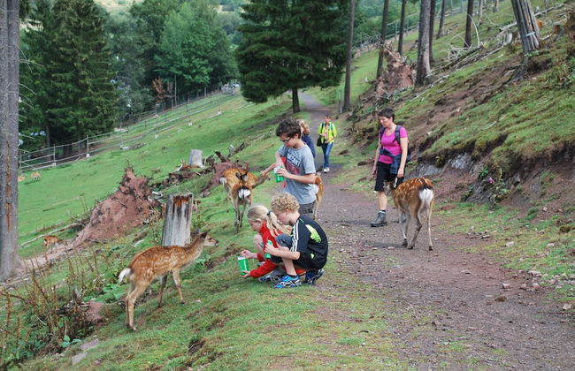 Gruppenfreundliche Villa in Liesen - Foto 30