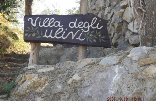 Appartamento Villa degli Ulivi - Foto 28